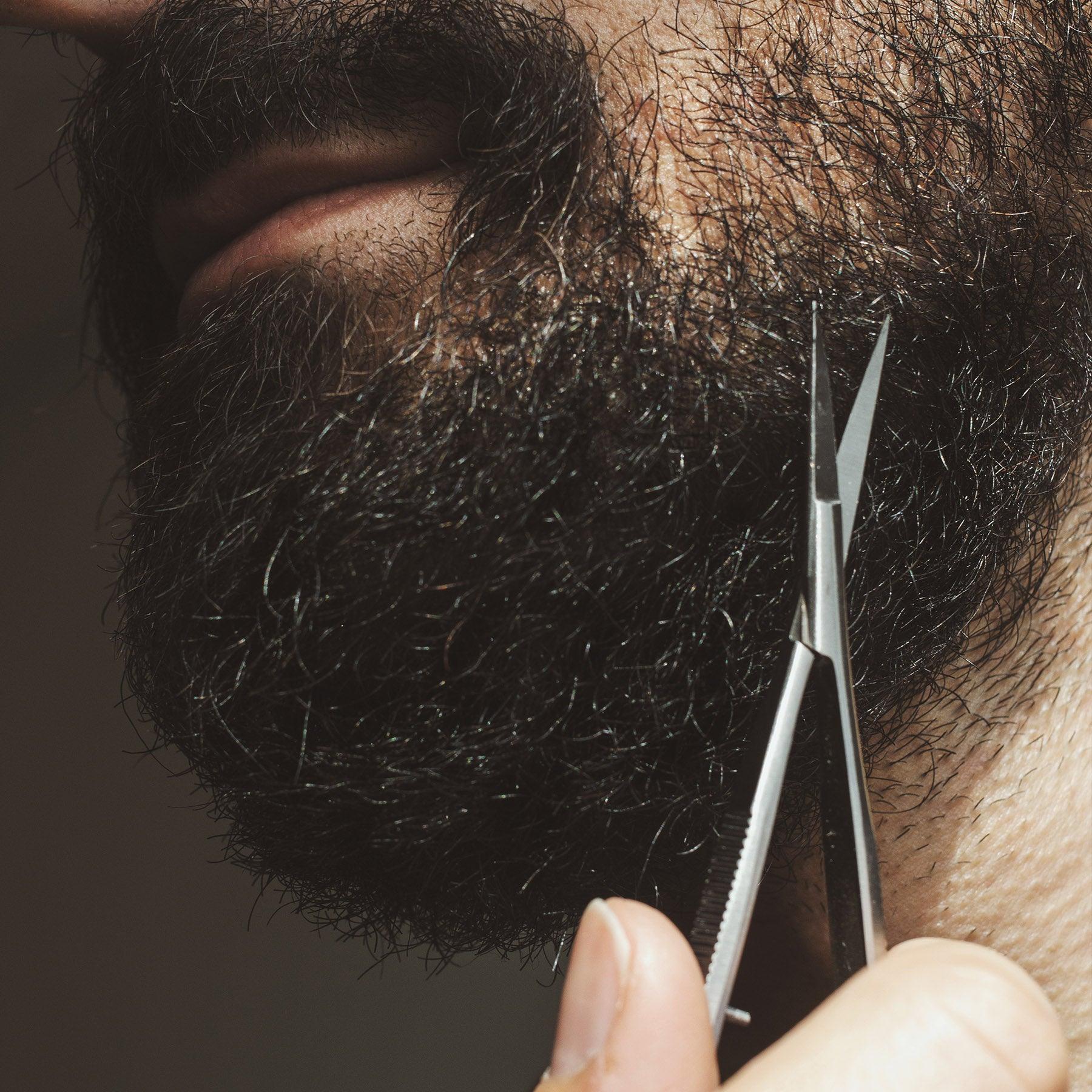 Kit Sourcils & Barbe L’Essentiel - Image 5